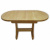 Стол парта овальный раздвижной 12Р